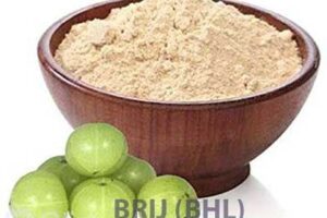Amla Powder (100g Pack)