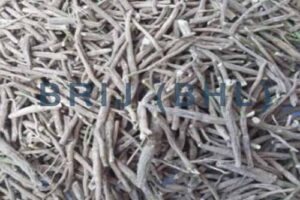Ashwagandha Powder (100gm)